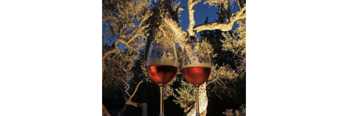 Mallorca Wein Verkostung 1. Halbjahr 2024 - Mallorca Wein | Weinprobe | Mallorcashop