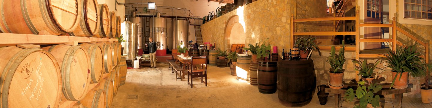 Mallorca Weine von Bodega Vins Nadal