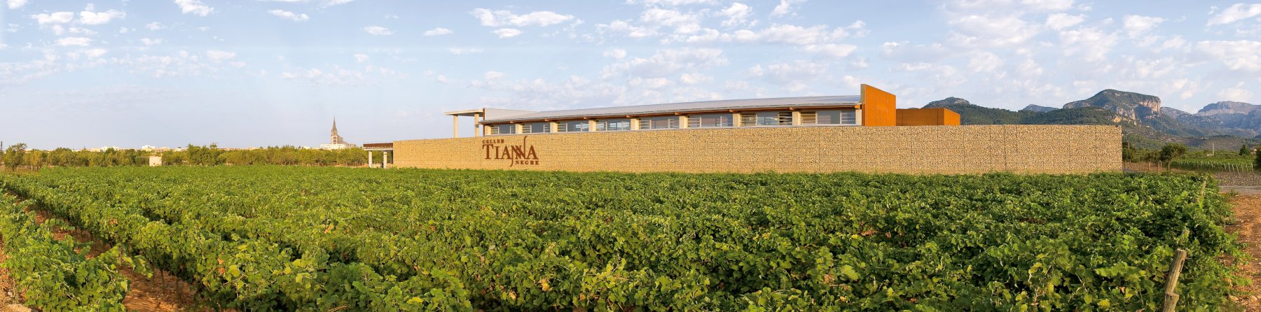 Tianna Negre Mallorca Wein